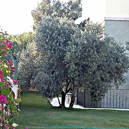 Otel Karyada Çeşme