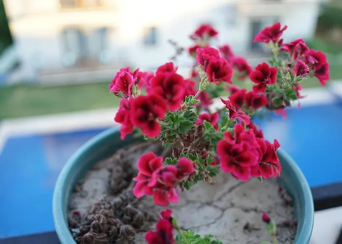 Szálloda Karyada Çeşme